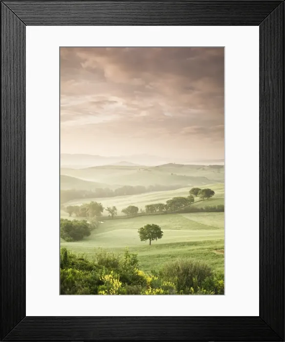 Framed Print : Single tree at sunrise, Val D Orcia, UNESCO World Heritage Site, Province Siena, Tuscany, Italy, Europe Framed Print : Single tree at sunrise, Val D Orcia, UNESCO World Heritage Site, Province Siena, Tuscany, Italy, Europe