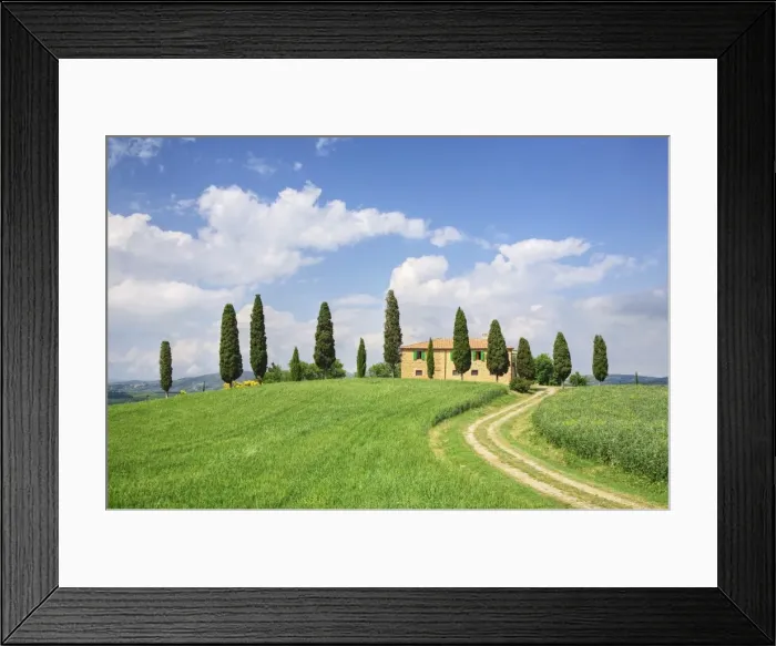 Framed Print : Farm house with cypress tree, Pienza, Val d Orcia, UNESCO World Heritage Site, Tuscany, Italy, Europe Framed Print : Farm house with cypress tree, Pienza, Val d Orcia, UNESCO World Heritage Site, Tuscany, Italy, Europe