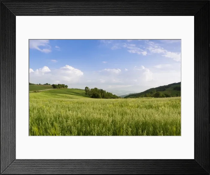 Framed Print : View over a grainfield to Monte Amiata, Val D Orcia, Province Siena, Tuscany, Italy, Europe Framed Print : View over a grainfield to Monte Amiata, Val D Orcia, Province Siena, Tuscany, Italy, Europe