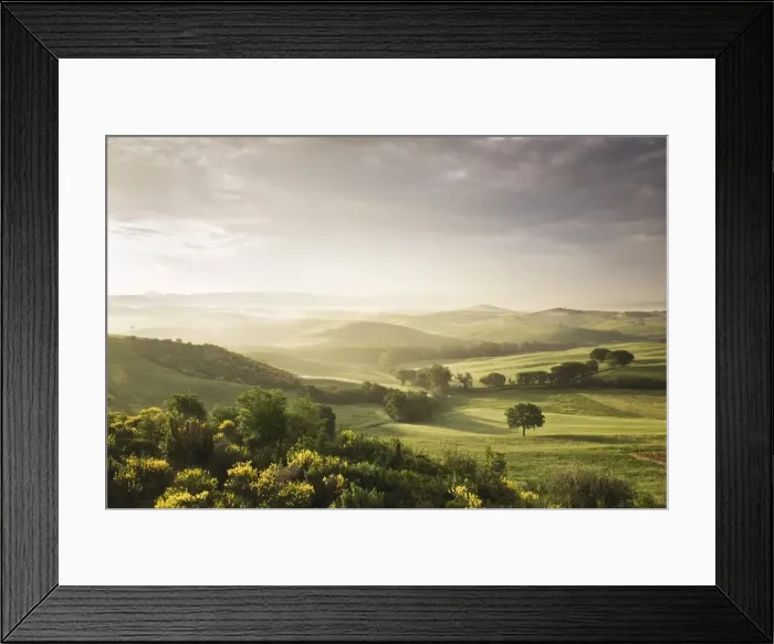 Framed Print : Single tree at sunset, Orcia Valley (Val d Orcia), UNESCO World Heritage Site, Province of Siena, Tuscany, Italy, Europe Framed Print : Single tree at sunset, Orcia Valley (Val d Orcia), UNESCO World Heritage Site, Province of Siena, Tuscany, Italy, Europe