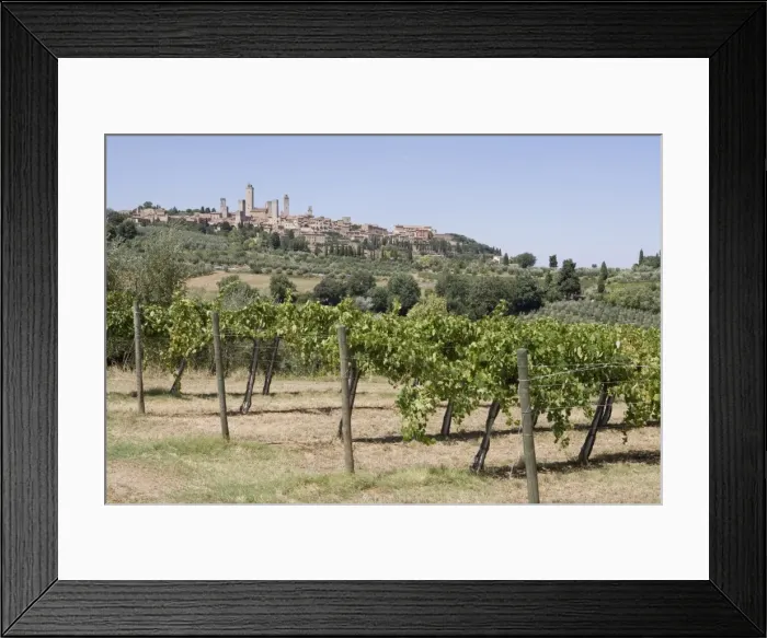 Framed Print : Vineyard with San Gimignano in background, Tuscany, Italy Framed Print : Vineyard with San Gimignano in background, Tuscany, Italy