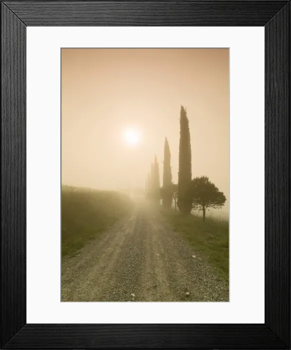 Framed Print : Cypress alley in the fog at sunrise, Val d Orcia, UNESCO World Heritage Site, Tuscany, Italy, Europe Framed Print : Cypress alley in the fog at sunrise, Val d Orcia, UNESCO World Heritage Site, Tuscany, Italy, Europe