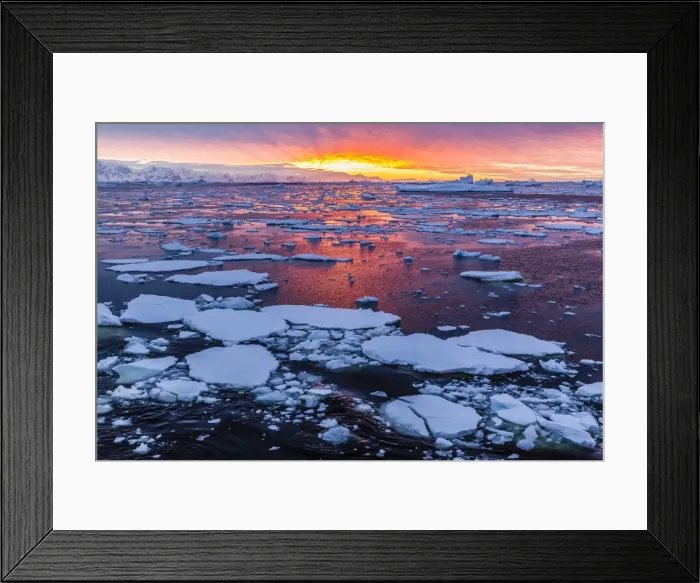 Framed Print : Sunset over ice floes and icebergs, near Pleneau Island, Antarctica, Southern Ocean, Polar Regions Framed Print : Sunset over ice floes and icebergs, near Pleneau Island, Antarctica, Southern Ocean, Polar Regions