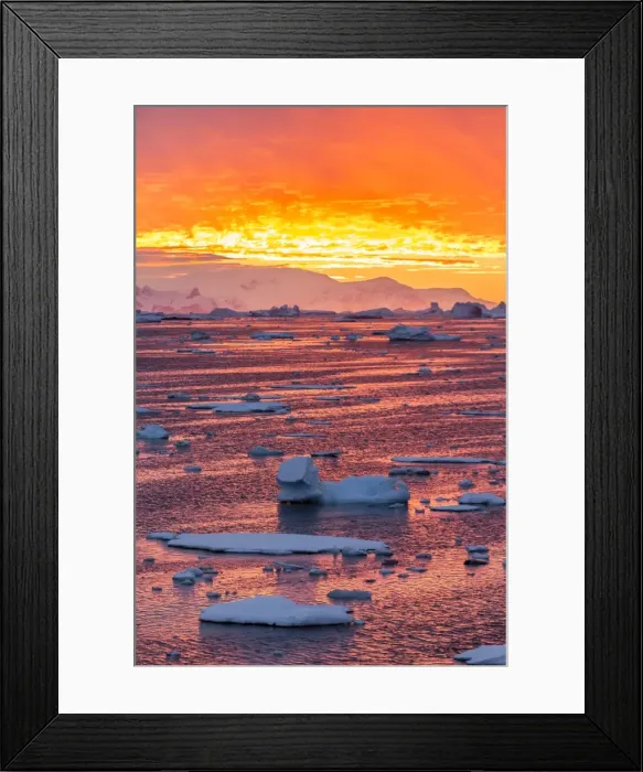 Framed Print : Sunset over ice floes and icebergs, near Pleneau Island, Antarctica, Southern Ocean, Polar Regions Framed Print : Sunset over ice floes and icebergs, near Pleneau Island, Antarctica, Southern Ocean, Polar Regions