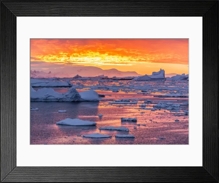 Framed Print : Sunset over ice floes and icebergs, near Pleneau Island, Antarctica, Southern Ocean, Polar Regions Framed Print : Sunset over ice floes and icebergs, near Pleneau Island, Antarctica, Southern Ocean, Polar Regions