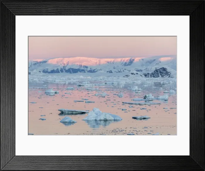 Framed Print : Sunset over icebergs in the Gerlache Strait, Antarctica, Southern Ocean, Polar Regions Framed Print : Sunset over icebergs in the Gerlache Strait, Antarctica, Southern Ocean, Polar Regions