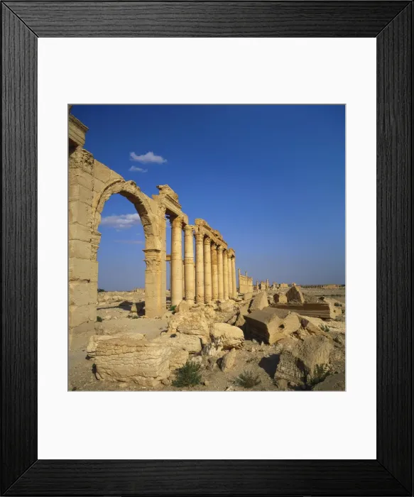 Framed Print : Classical Columns, Palmyra, Syria Framed Print : Classical Columns, Palmyra, Syria