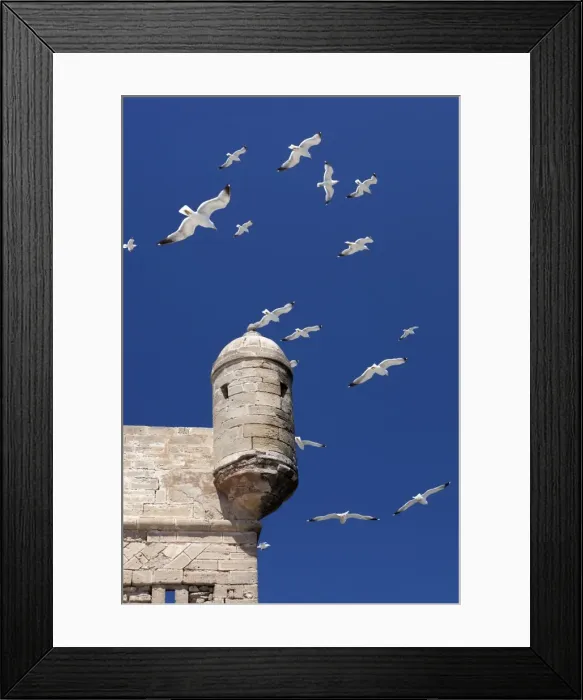 Framed Print : Seagulls flying above turret of the old fort, Essaouira, Atlantic coast, Morocco, North Africa, Africa Framed Print : Seagulls flying above turret of the old fort, Essaouira, Atlantic coast, Morocco, North Africa, Africa