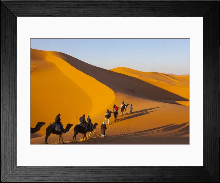 Framed Print : Tourists on camel safari, Sahara Desert, Merzouga, Morocco, North Africa, Africa Framed Print : Tourists on camel safari, Sahara Desert, Merzouga, Morocco, North Africa, Africa