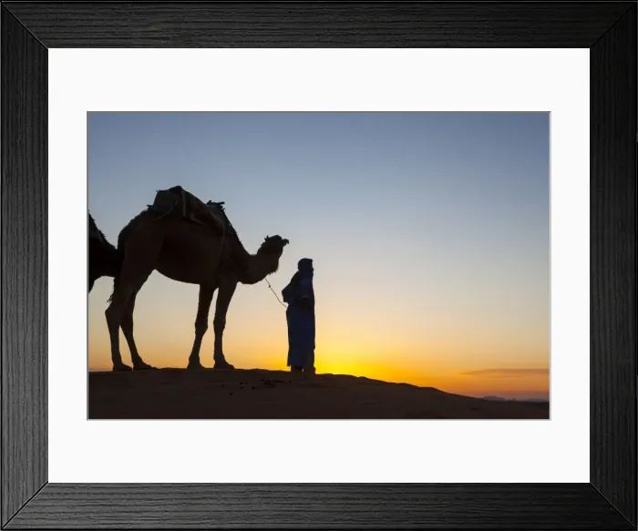 Framed Print : Camel driver, Sahara Desert, Merzouga, Morocco, North Africa, Africa Framed Print : Camel driver, Sahara Desert, Merzouga, Morocco, North Africa, Africa