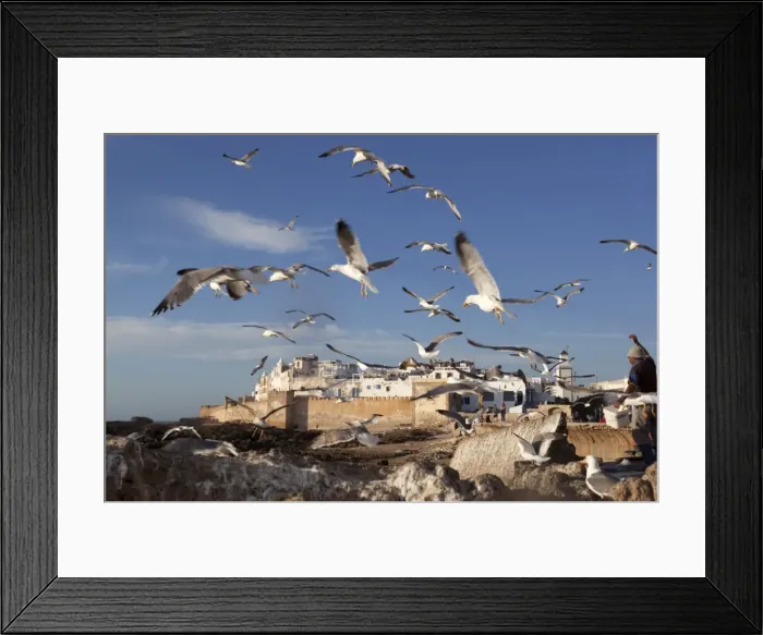 Framed Print : View to the ramparts and medina with seagulls, Essaouira, Atlantic coast, Morocco, North Africa, Africa Framed Print : View to the ramparts and medina with seagulls, Essaouira, Atlantic coast, Morocco, North Africa, Africa