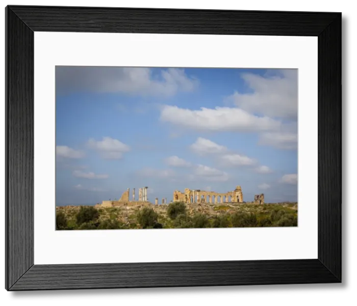 Framed Print : Volubilis, UNESCO World Heritage Site, Morocco, North Africa, Africa Framed Print : Volubilis, UNESCO World Heritage Site, Morocco, North Africa, Africa