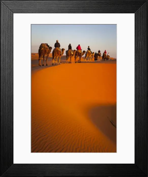 Framed Print : Tourists on camel safari, Sahara Desert, Merzouga, Morocco, North Africa, Africa Framed Print : Tourists on camel safari, Sahara Desert, Merzouga, Morocco, North Africa, Africa