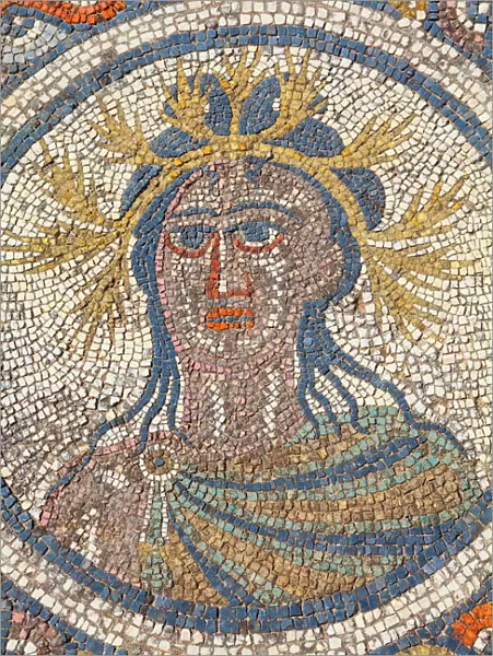 Mosaic detail from the House of Dionysus, Volubilis, UNESCO World Heritage Site, Morocco, North Africa, Africa