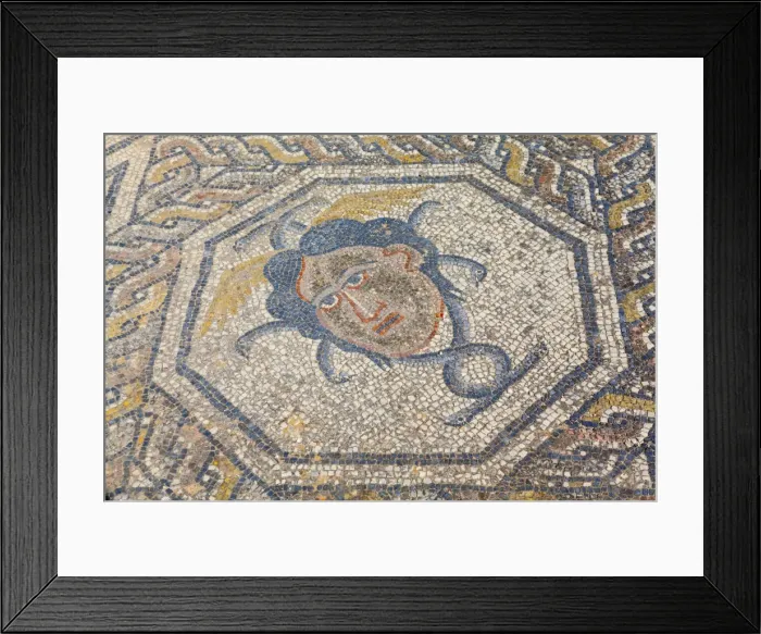 Framed Print : Mosaic detail from the House of Dionysus, Volubilis, UNESCO World Heritage Site, Morocco, North Africa, Africa Framed Print : Mosaic detail from the House of Dionysus, Volubilis, UNESCO World Heritage Site, Morocco, North Africa, Africa