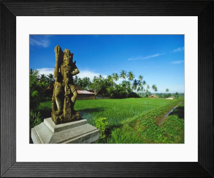 Framed Print : Staue of Raksha in a Rice Field, Ubud, Gianyar, Bali Framed Print : Staue of Raksha in a Rice Field, Ubud, Gianyar, Bali