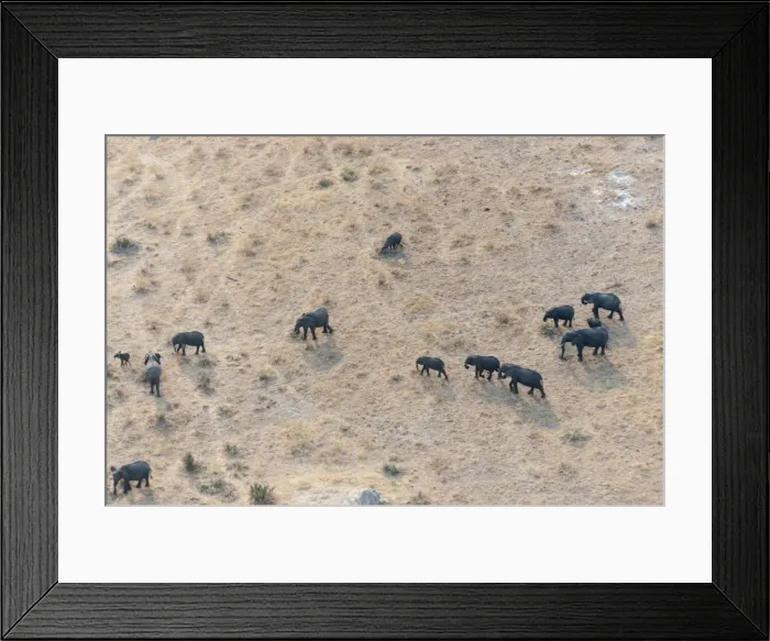 Framed Print : Aerial view of Okavango delta, Botswana, Africa Framed Print : Aerial view of Okavango delta, Botswana, Africa