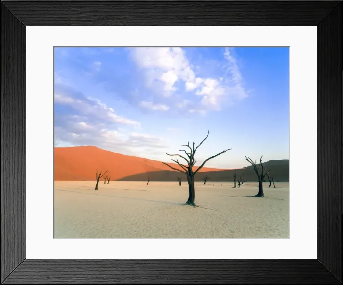 Framed Print : Dead trees and orange sand dunes, Dead Vlei, Sossusvlei dune field, Namib-Naukluft Park, Namib Desert, Namibia, Africa Framed Print : Dead trees and orange sand dunes, Dead Vlei, Sossusvlei dune field, Namib-Naukluft Park, Namib Desert, Namibia, Africa