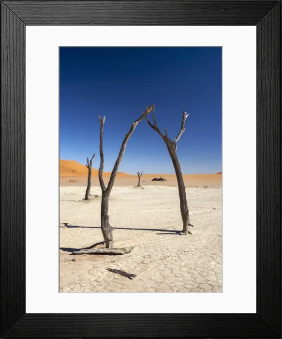 Framed Print : Dead Vlei, Namib Desert, Namibia, Africa Framed Print : Dead Vlei, Namib Desert, Namibia, Africa