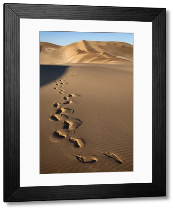 Framed Print : Footprints on sand dunes near Swakopmund, Dorob National Park, Namibia, Africa Framed Print : Footprints on sand dunes near Swakopmund, Dorob National Park, Namibia, Africa