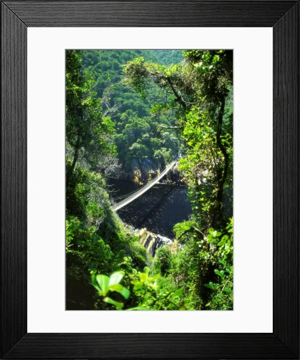 Framed Print : Footbrige Over Storms River, Tsitsikamma National Park, South Africa Framed Print : Footbrige Over Storms River, Tsitsikamma National Park, South Africa