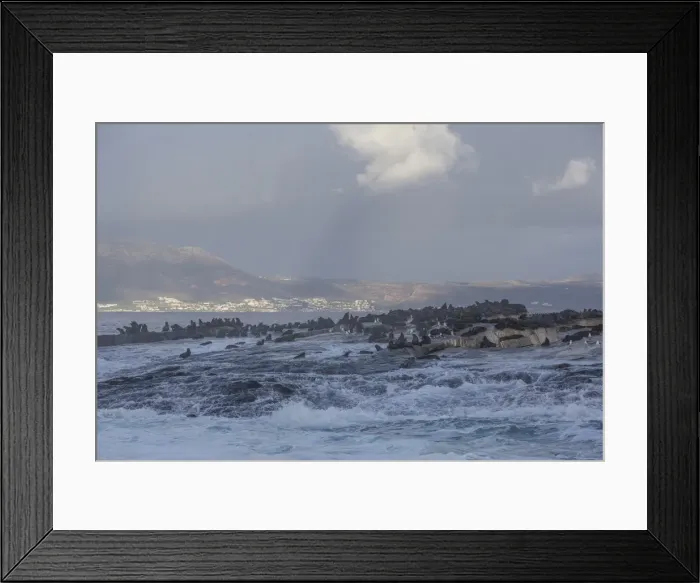 Framed Print : Cape fur seals (Arctocephalus pusillus pusillus), Seal Island, False Bay, Simonstown, Western Cape, South Africa, Africa Framed Print : Cape fur seals (Arctocephalus pusillus pusillus), Seal Island, False Bay, Simonstown, Western Cape, South Africa, Africa