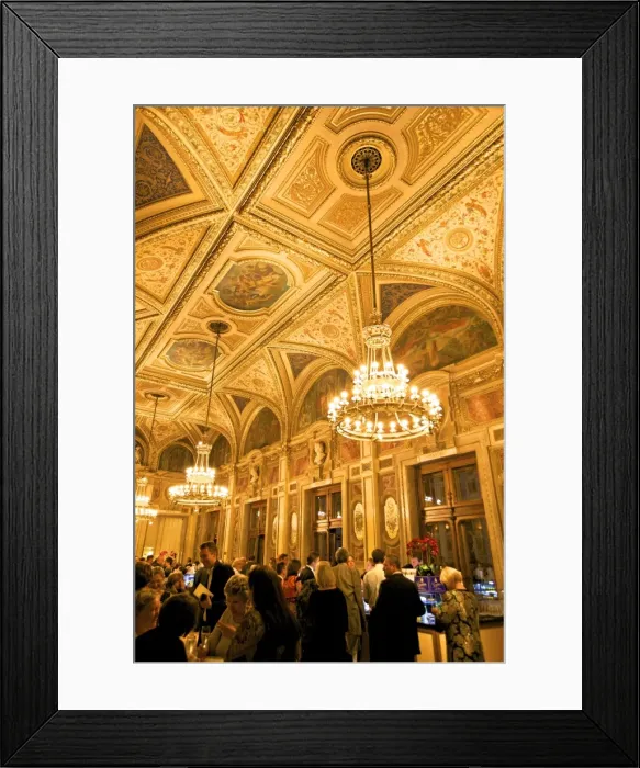 Framed Print : Vienna State Opera House, Vienna, Austria, Europe Framed Print : Vienna State Opera House, Vienna, Austria, Europe