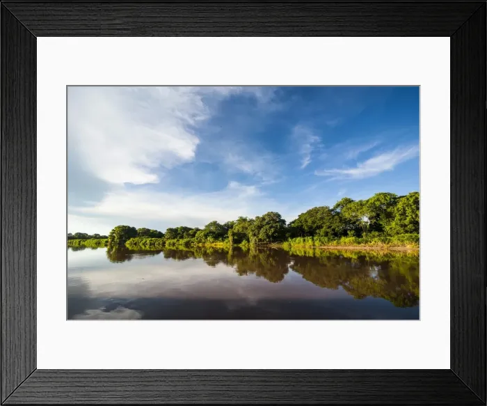 Framed Print : Trees reflecting in the water in a river in the Pantanal, UNESCO World Heritage Site, Brazil, South America Framed Print : Trees reflecting in the water in a river in the Pantanal, UNESCO World Heritage Site, Brazil, South America