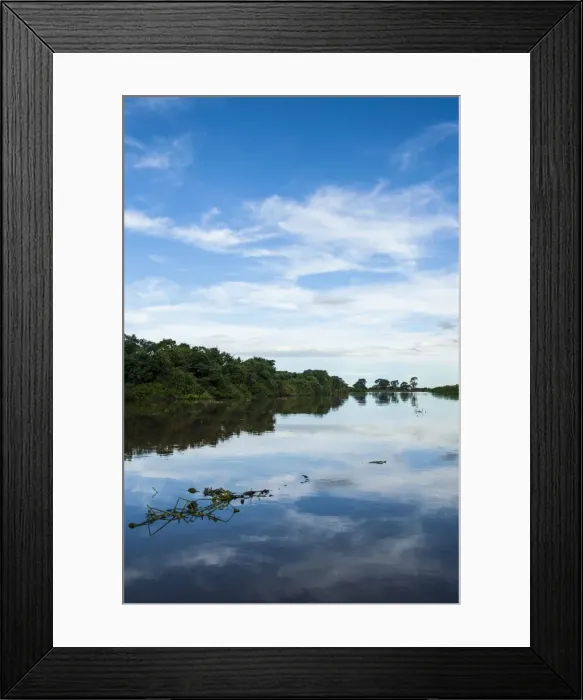 Framed Print : Trees reflecting in the water in a river in the Pantanal, UNESCO World Heritage Site, Brazil, South America Framed Print : Trees reflecting in the water in a river in the Pantanal, UNESCO World Heritage Site, Brazil, South America