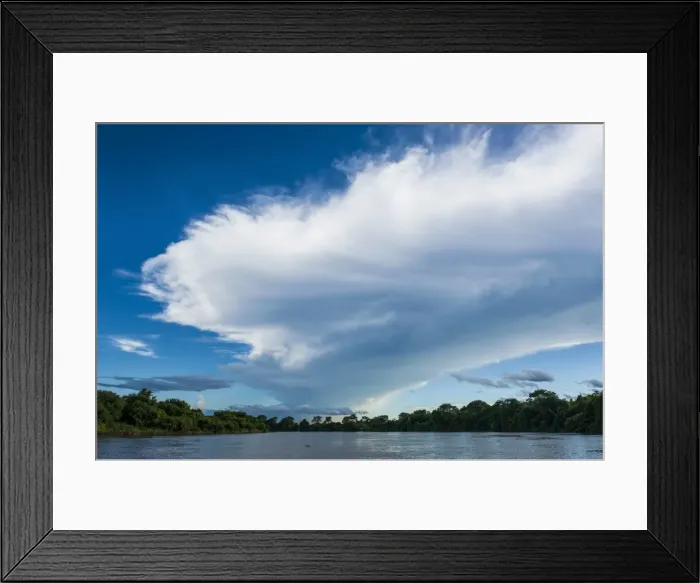 Framed Print : Trees reflecting in the water in a river in the Pantanal, UNESCO World Heritage Site, Brazil, South America Framed Print : Trees reflecting in the water in a river in the Pantanal, UNESCO World Heritage Site, Brazil, South America