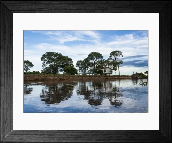 Framed Print : Trees reflecting in the water in a river in the Pantanal Conservation Area, UNESCO World Heritage Site, Brazil, South America Framed Print : Trees reflecting in the water in a river in the Pantanal Conservation Area, UNESCO World Heritage Site, Brazil, South America
