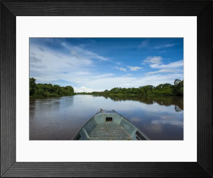 Framed Print : Trees reflecting in the water in a river in the Pantanal, UNESCO World Heritage Site, Brazil, South America Framed Print : Trees reflecting in the water in a river in the Pantanal, UNESCO World Heritage Site, Brazil, South America