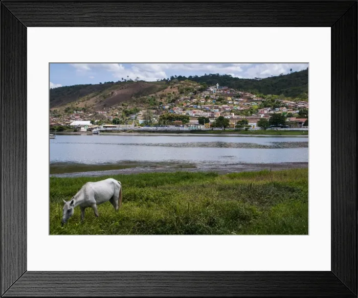 Framed Print : Horse grazing along the Rio Paraguacu in Cachoeira, Bahia, Brazil, South America Framed Print : Horse grazing along the Rio Paraguacu in Cachoeira, Bahia, Brazil, South America