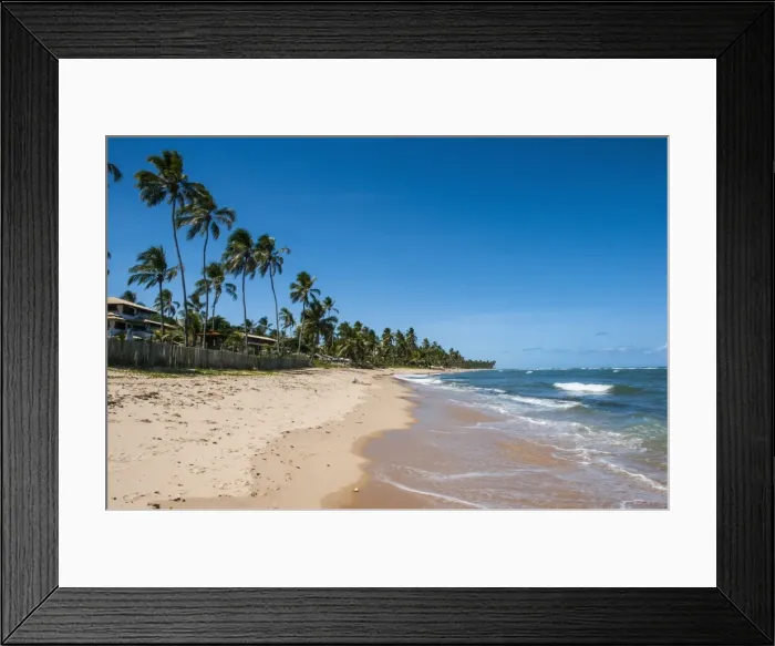 Framed Print : Tropical beach in Praia do Forte, Bahia, Brazil, South America Framed Print : Tropical beach in Praia do Forte, Bahia, Brazil, South America