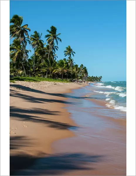 Tropical beach in Praia do Forte, Bahia, Brazil, South America