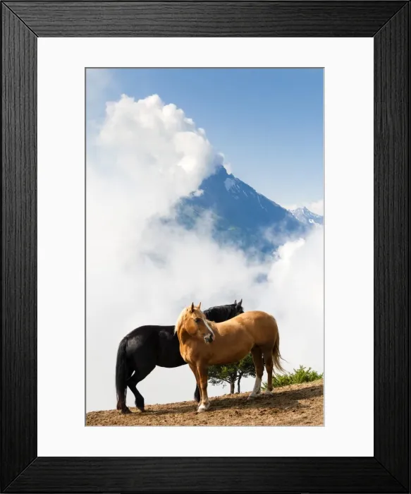 Framed Print : Horses and Grand Nomenon mountain, Aosta Valley, Italian Alps, Italy, Europe Framed Print : Horses and Grand Nomenon mountain, Aosta Valley, Italian Alps, Italy, Europe