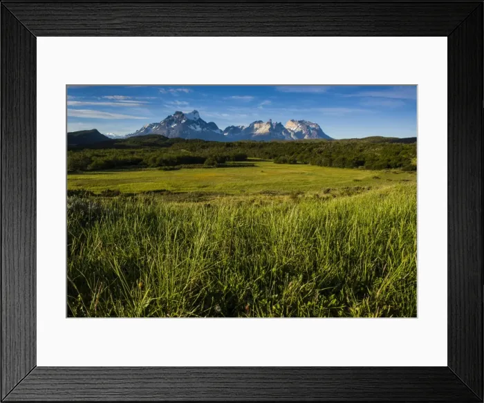 Framed Print : Green grass, Torres del Paine National Park, Patagonia, Chile, South America Framed Print : Green grass, Torres del Paine National Park, Patagonia, Chile, South America