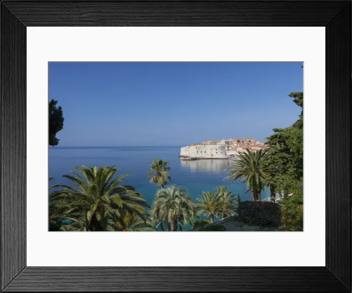 Framed Print : View of city across the sea and through palm trees, Dubrovnik, UNESCO World Heritage Site, Dalmatian Coast, Croatia, Europe Framed Print : View of city across the sea and through palm trees, Dubrovnik, UNESCO World Heritage Site, Dalmatian Coast, Croatia, Europe