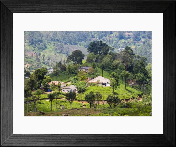 Framed Print : Houses on a tea estate in Haputale, Sri Lanka Hill Country, Sri Lanka, Asia