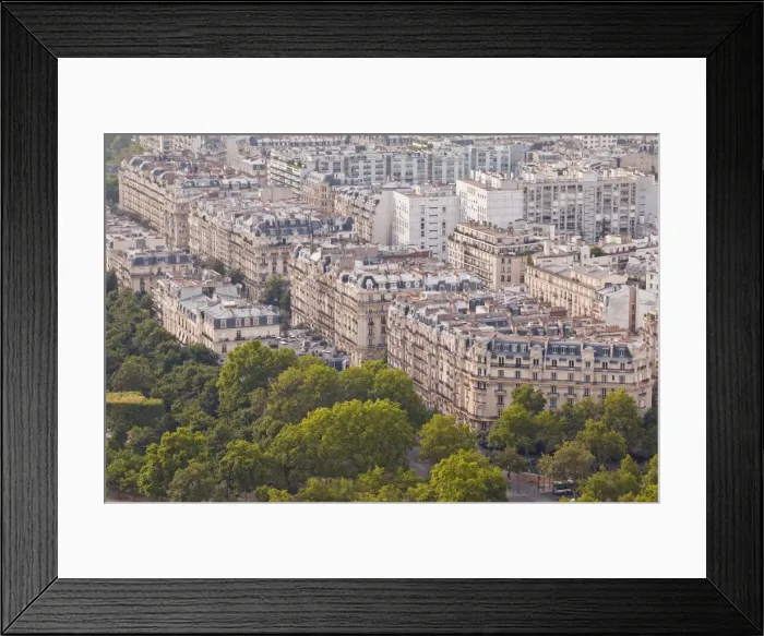 Framed Print : The rooftops of Paris from the Eiffel Tower, Paris, France, Europe