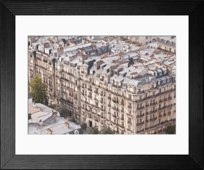Framed Print : The rooftops of Paris from the Eiffel Tower Framed Print : The rooftops of Paris from the Eiffel Tower