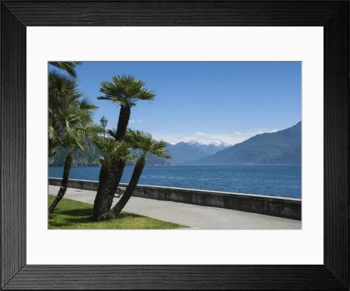 Framed Print : Lakeside gardens at Menaggio, Lake Como, Italian Lakes, Lombardy, Italy, Europe Framed Print : Lakeside gardens at Menaggio, Lake Como, Italian Lakes, Lombardy, Italy, Europe