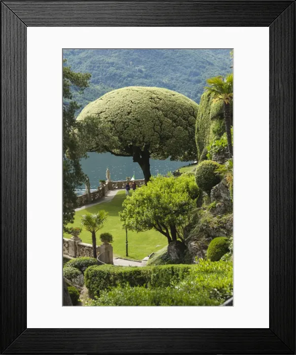 Framed Print : Terrace with giant topiary, Villa Barbonella, Lake Como, Lombardy, Italy, Europe Framed Print : Terrace with giant topiary, Villa Barbonella, Lake Como, Lombardy, Italy, Europe