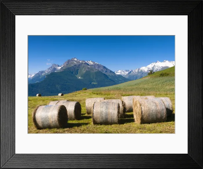Framed Print : Hay bales, Grivola and Grand Nomenon mountains, Aosta Valley, Italian Alps, Italy, Europe Framed Print : Hay bales, Grivola and Grand Nomenon mountains, Aosta Valley, Italian Alps, Italy, Europe