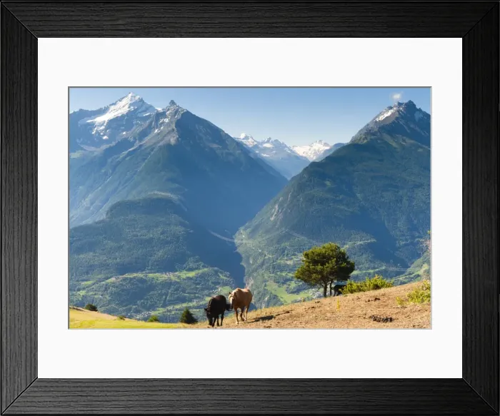 Framed Print : Grivola and Grand Nomenon mountains, Aosta Valley, Italian Alps, Italy, Europe Framed Print : Grivola and Grand Nomenon mountains, Aosta Valley, Italian Alps, Italy, Europe