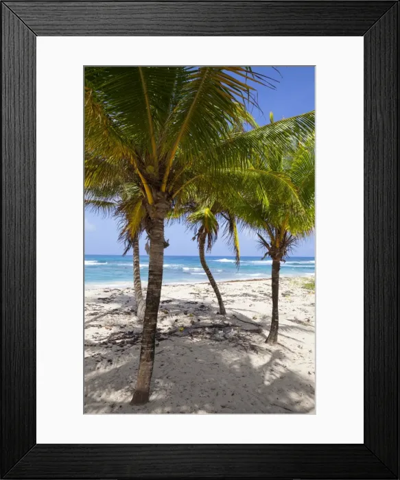 Framed Print : Long Bay, East Coast, Portland Parish, Jamaica, West Indies, Caribbean, Central America Framed Print : Long Bay, East Coast, Portland Parish, Jamaica, West Indies, Caribbean, Central America