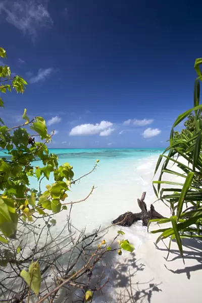 Beach on desert island, Maldives, Indian Ocean, Asia