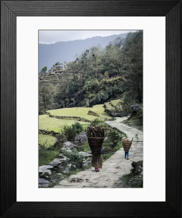 Framed Print : A woman and daughter carry firewood in dolkas back home to Ghandruk, Nepal, Asia Framed Print : A woman and daughter carry firewood in dolkas back home to Ghandruk, Nepal, Asia
