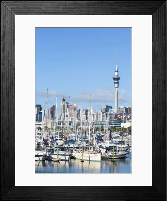 Framed Print : Westhaven Marina and city skyline, Waitemata Harbour, Auckland, North Island, New Zealand, Pacific Framed Print : Westhaven Marina and city skyline, Waitemata Harbour, Auckland, North Island, New Zealand, Pacific
