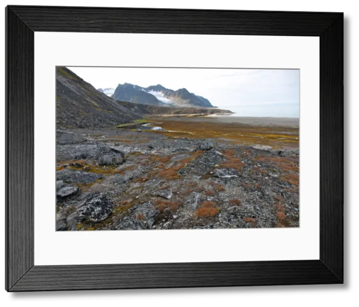 Framed Print : Glacial foreshore, Magdalenefjord, Svalbard Looking west Framed Print : Glacial foreshore, Magdalenefjord, Svalbard Looking west